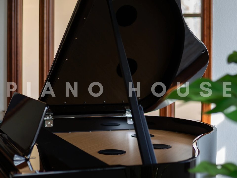 ROLAND GP-9M PE - Góc nhìn thực tế 6